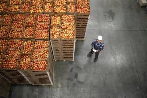 Lebensmittellogistik mit EUROKOMBI: verlässlich und sicher